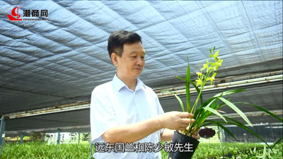 一場(chǎng)蘭花的奇妙之旅，帶您領(lǐng)略國(guó)蘭風(fēng)采！