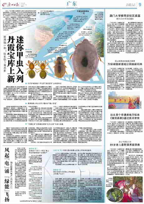 汕頭首個(gè)非遺類地方標(biāo)準(zhǔn)《潮陽(yáng)英歌》通過(guò)技術(shù)審查