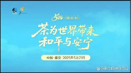 “茶為世界帶來(lái)和平與安寧”2025.5.21國(guó)際茶日健康飲茶活動(dòng)在中國(guó)雄安舉辦